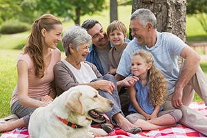 Do Trusts Cover A Home’s Contents Too